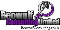 Beowulf Consulting Limited 402487 Image 1